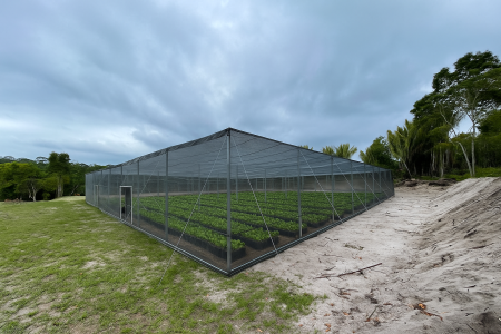 ChatGPT Image 5 de jul. de 2025, 20_15_21