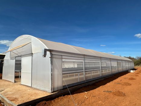 WhatsApp Image 2025-07-05 at 21.31.45